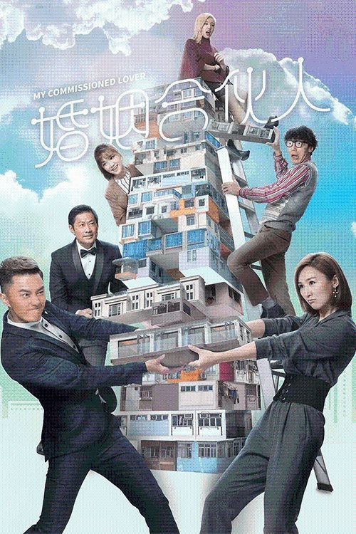 婚姻合伙人(普通话)